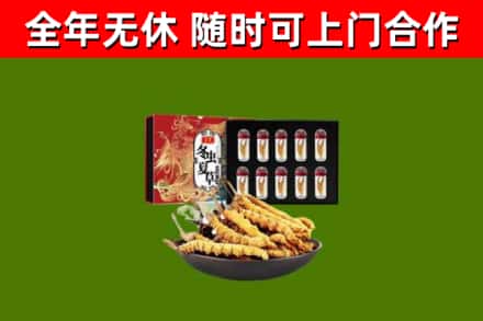 大观烟酒回收冬虫夏草礼盒.jpg