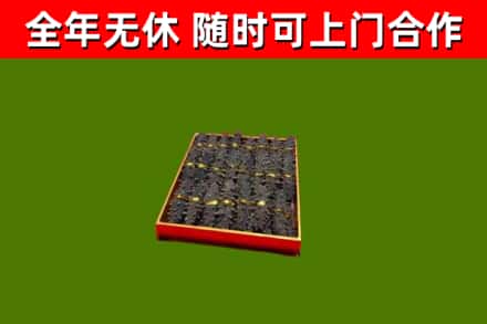 大观回收海参